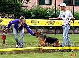 cucciolone-femmine-gianluca-petriccione-con-minnie-di-casa-massarelli