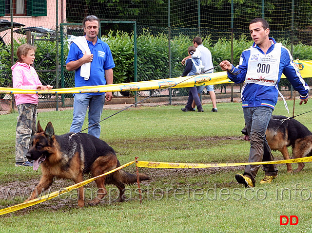 akor-di-cariddi-condotto-da-michele-falcone-.jpg - Akor di Cariddi condotto da Michele Falcone