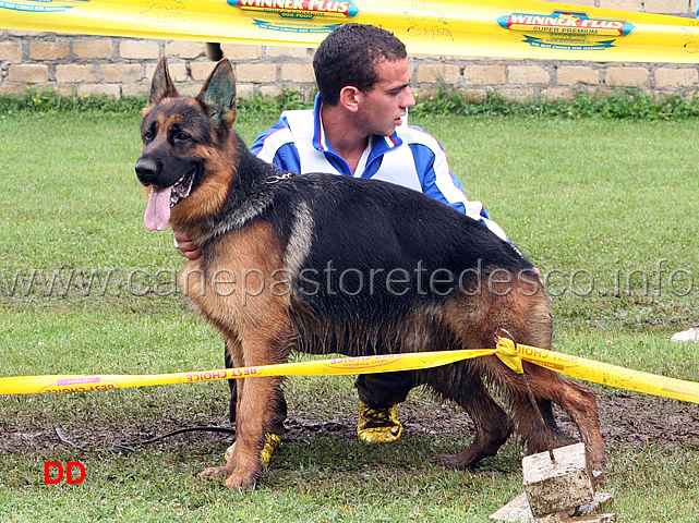 akor-di-cariddi-condotto-da-michele-falcone-1-classificato-in-giovanissimi.jpg - Akor di Cariddi condotto da Michele Falcone 1 MB in giovanissimi maschi