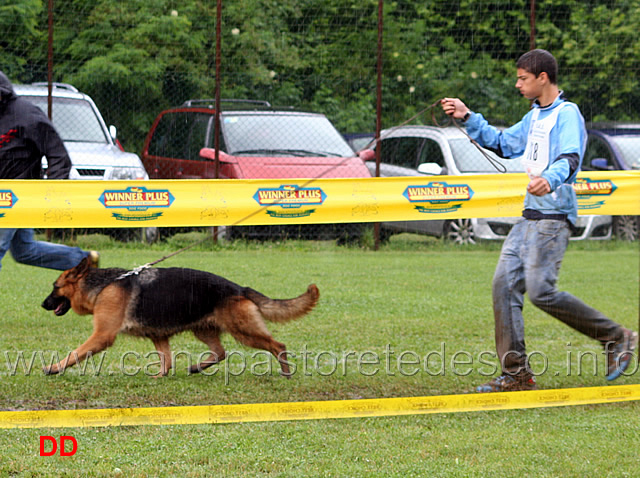 giovani-femmine-gianluca-petriccione-con-quiri-dell-alpe-adria.jpg - Giovani femmine.Gianluca Petriccione con Quiri dell'Alpe Adria