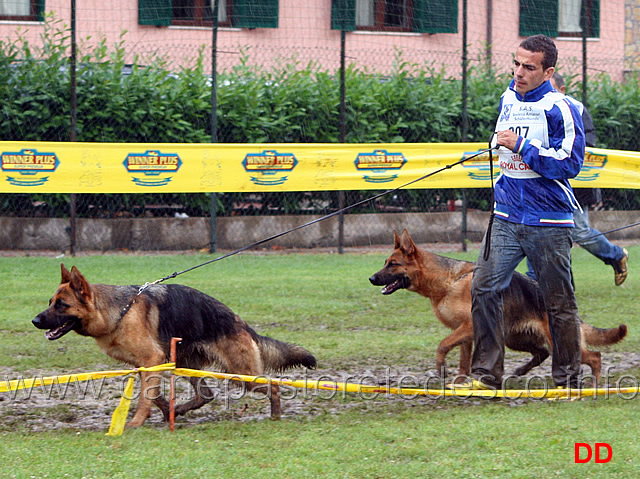 giovani-femmine-michele-falcone-con-rosy-e-qualy-degli-achei.jpg - Giovani femmine. Michele Falcone con Rosy