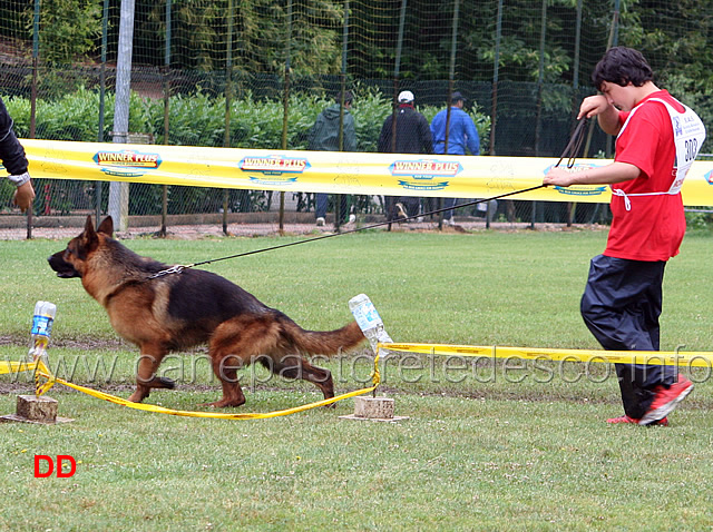 giovanissimi-maschi-giovanni-burdi-con-jago.jpg - Giovanissimi maschi. Giovanni Burdi con Jago