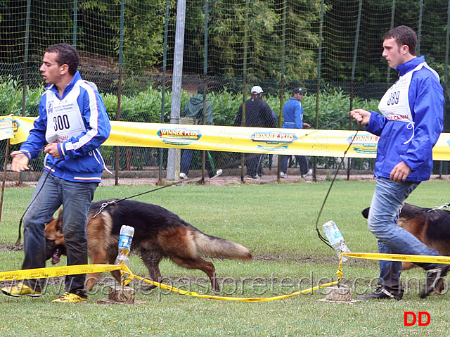 giovanissimi-maschi-raffaele-pizzorusso-con-gimmy-degli-arvali.jpg - Giovanissimi maschi. Raffaele Pizzorusso con Gimmy degli Arvali