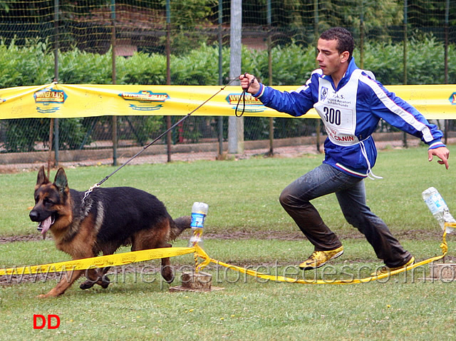 michele-falcone-con-akor-di-cariddi-spareggi-.jpg - Michele Falcone con Akor di Cariddi. Spareggi.