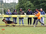 rosario-carrubba-con-ursus-goldenen-strand