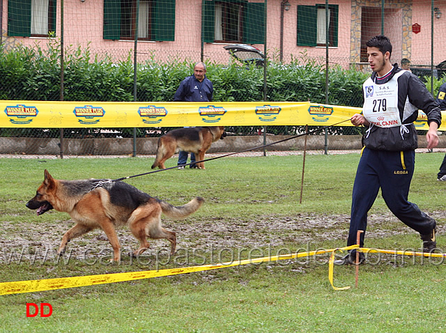 lavoro-femmine-onofrio-triglia-con-dinga-della-genia-osca.jpg - Lavoro femmine. Onofrio Triglia con Dinga della Genia Osca