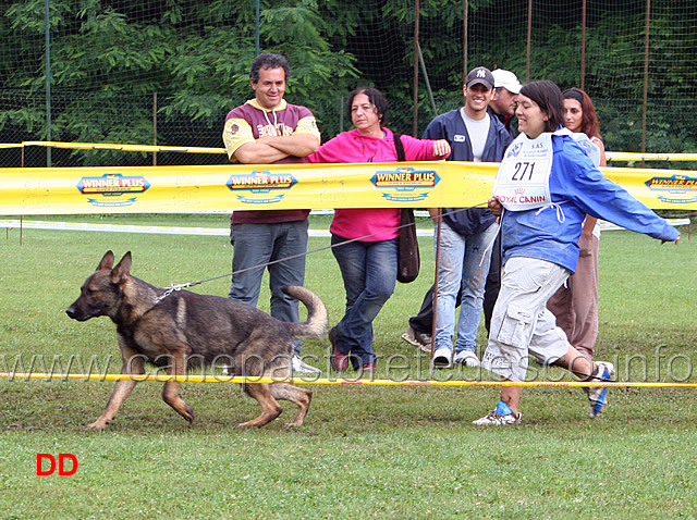 lavoro-maschi-silvia-lucchese-con-becky.jpg - Lavoro maschi. Silvia Lucchese con Beck