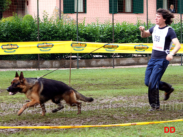 spareggi-lavoro-maschi-falko.jpg - Spareggi Lavoro maschi. Falko