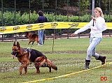 lavoro-femmine-martina-anastasi-con-betty-di-casa-luca