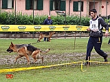 lavoro-femmine-onofrio-triglia-con-dinga-della-genia-osca