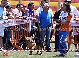 baby-maschi-ludovica-lucchese-con-dax-di-casa-maiorano