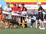 cucciolone-femmine-andrea-de-ciantis-con-bonny-di-casa-piellier