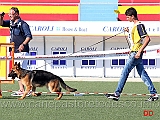 cucciolone-femmine-gianluca-petriccione-con-zoe-di-ca-de-pace