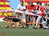 cucciolone-femmine-tommaso-crisafulli-con-mascar-dell-ambra-selvaggia