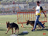 gianluca-petriccione-con-raul-di-zenevredo