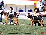 gianmarco-castaldo-con-flic-di-positano-kristina-dori-con-haorn-della-val-sangro