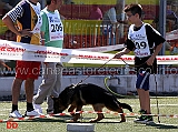 gruppo-di-riproduzione-di-homar-dei-colli-di-uzzano-brenda-degli-iapigi-02