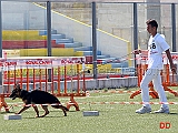 gruppo-di-riproduzione-di-solo-team-fiemereck-manuel-prezioso-con-zia-delori