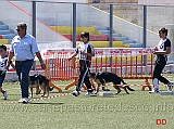 gruppo-di-riproduzione-di-vargo-di-zenevredo-emanuele-capitano