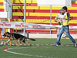 juniores-femmine-gianluca-petriccione-con-lena-di-camporeale