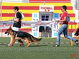 juniores-maschi-rosario-carrubba-con-figo-dei-colli-storici