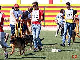 rosario-carrubba-con-extra-dei-colli-storici-e-gianluca-petriccione-con-frida-di-cariddi