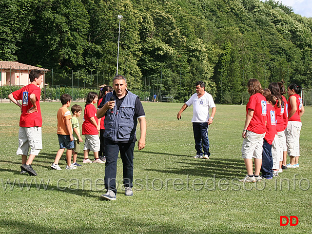 ancora-una-dimostrazione-di-controllo-ed-equilibrio-del-pastore-tedesco.jpg - Ancora una dimostrazione di controllo e di equilibrio del cane da pastore tedesco