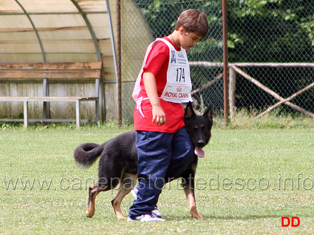 andrea-valeri-con-cari-della-decima-mas-avviamento-02.jpg - Andrea Valeri con Cari della Decima Mas. Avviamento.