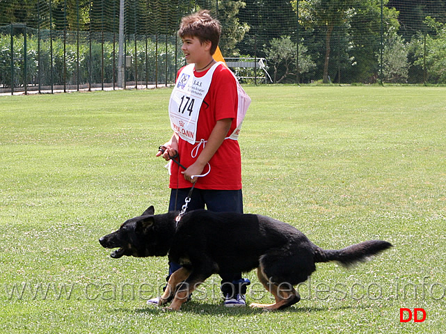 andrea-valeri-con-cari-della-decima-mas-avviamento-attacchi-punti-96-eccellente.jpg - Andrea Valeri con Cari della Decima Mas. Avviamento. Fase C punti 96. Eccellente.