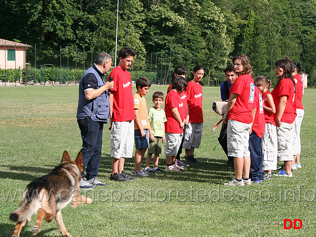 attacco.jpg - Ancora una dimostrazione di controllo e di equilibrio del cane da pastore tedesco. Edo esegue l'attacco sul figurante Mastrapasqua passando tra i ragazzi