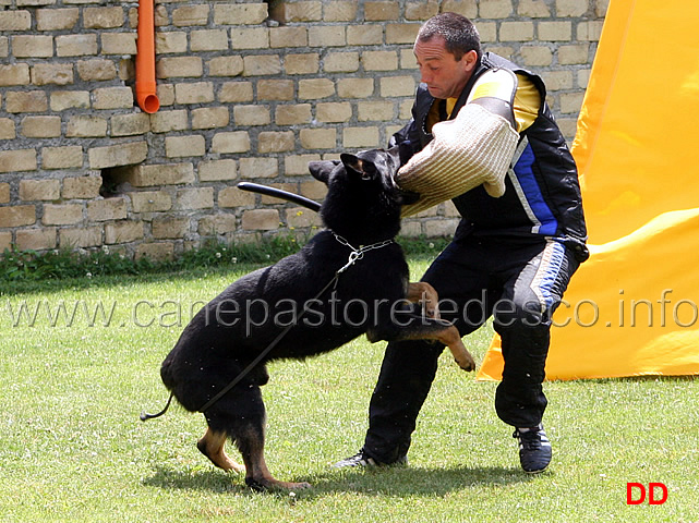 cari-della-decima-mas-avviamento-05.jpg - Cari della Decima Mas. Avviamento.