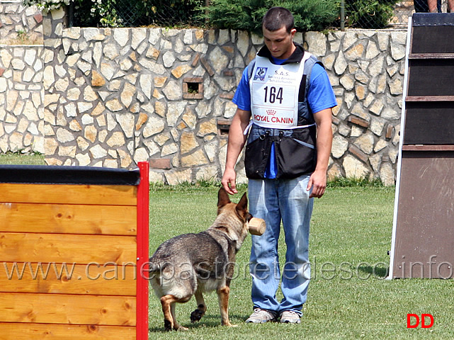 enrico-barbanera-con-quendy-della-decima-mas-IPO3-13.jpg - Enrico Barbanera con Quendy della Decima Mas. IPO3.