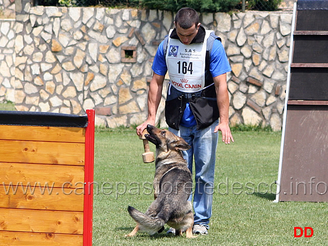 enrico-barbanera-con-quendy-della-decima-mas-IPO3-14.jpg - Enrico Barbanera con Quendy della Decima Mas. IPO3.