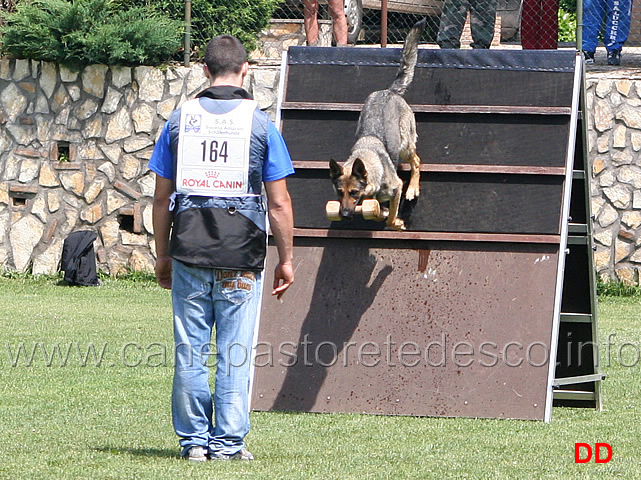 enrico-barbanera-con-quendy-della-decima-mas-IPO3-15.jpg - Enrico Barbanera con Quendy della Decima Mas. IPO3.