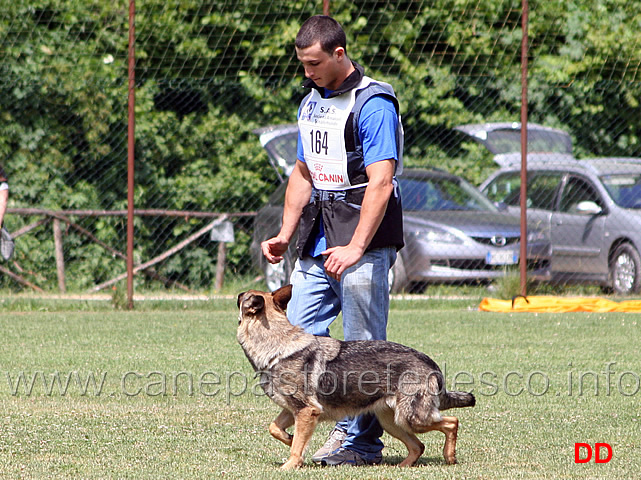 enrico-barbanera-con-quendy-della-decima-mas-IPO3-16.jpg - Enrico Barbanera con Quendy della Decima Mas. IPO3.