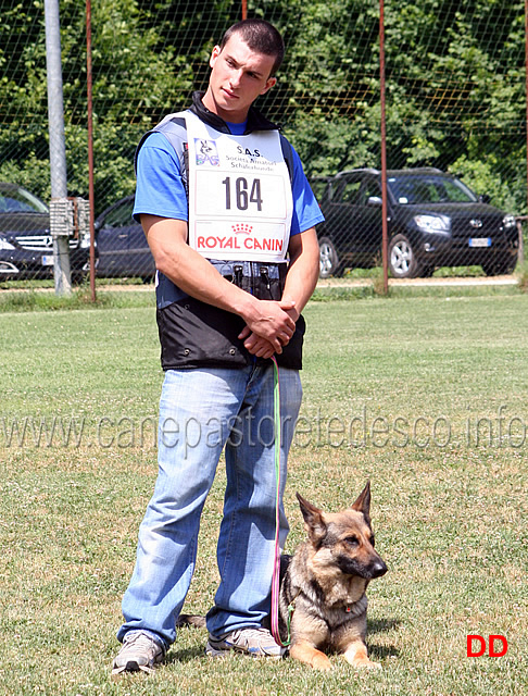 enrico-barbanera-con-quendy-della-decima-mas-IPO3-B-punti-86.jpg - Enrico Barbanera con Quendy della Decima Mas. IPO3. Obbedienza punti 86