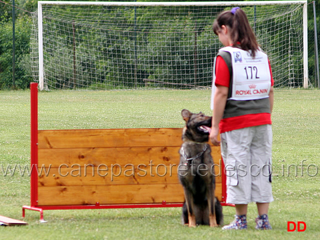 melissa-imbrogino-con-sony-di-villa-saracena-esordienti-05.jpg - Melissa Imbrogino con Sony di Villa Saracena. Esordienti. Obbedienza punti 70