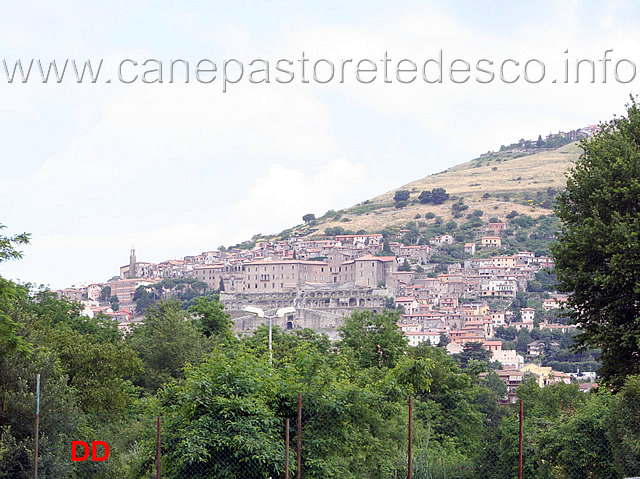 palestrina-vista-dal-campo-di-gara.jpg - Palestrina vista dal campo di gara.