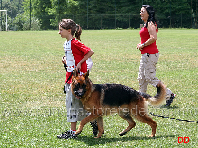 sofia-loizzi-con-rover-godalis-esordienti-14.jpg - Sofia Loizzi con Rover Godalis. Esordienti