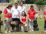 silvia-lucchese-maurizio-cipriani-franco-gaudiano-stefania-dori-melissa-imbrogino