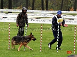 campionato-agility-nicola-camoscini-con-gunda-dello-zio-02