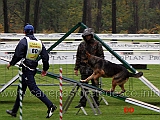 campionato-agility-nicola-camoscini-con-gunda-dello-zio-03