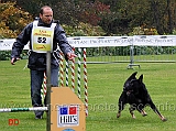 campionato-agility-roberto-alterio-con-manu-di-oroval-02