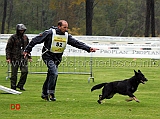 campionato-agility-roberto-alterio-con-manu-di-oroval-03