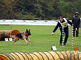 campionato-agility-stefano-della-benedetta-con-zeus-di-ca-san-marco-02