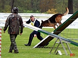 campionato-agility-stefano-della-benedetta-con-zeus-di-ca-san-marco