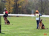 campionato-obedience-classe-2