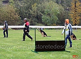 campionato-obedience-classe-due