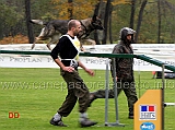 campionato-sas-di-agility-emiliano-giuliani-con-hika-della-decima-mas-03