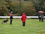 campionato-sas-di-obedience